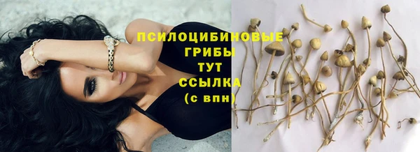 бутират Туринск