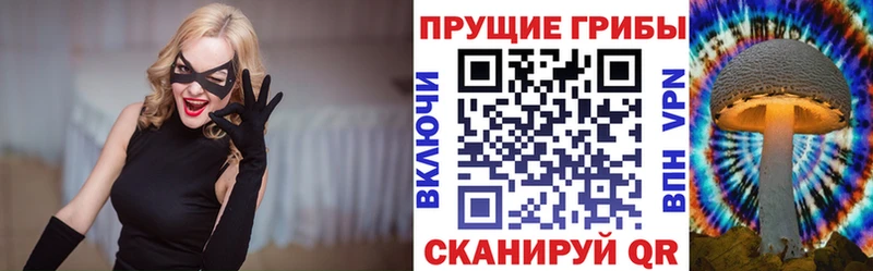 мега tor  Харовск  Псилоцибиновые грибы Cubensis 
